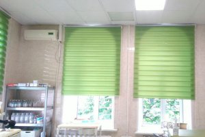 Рулонные шторы "Зебра" зеленого цвета